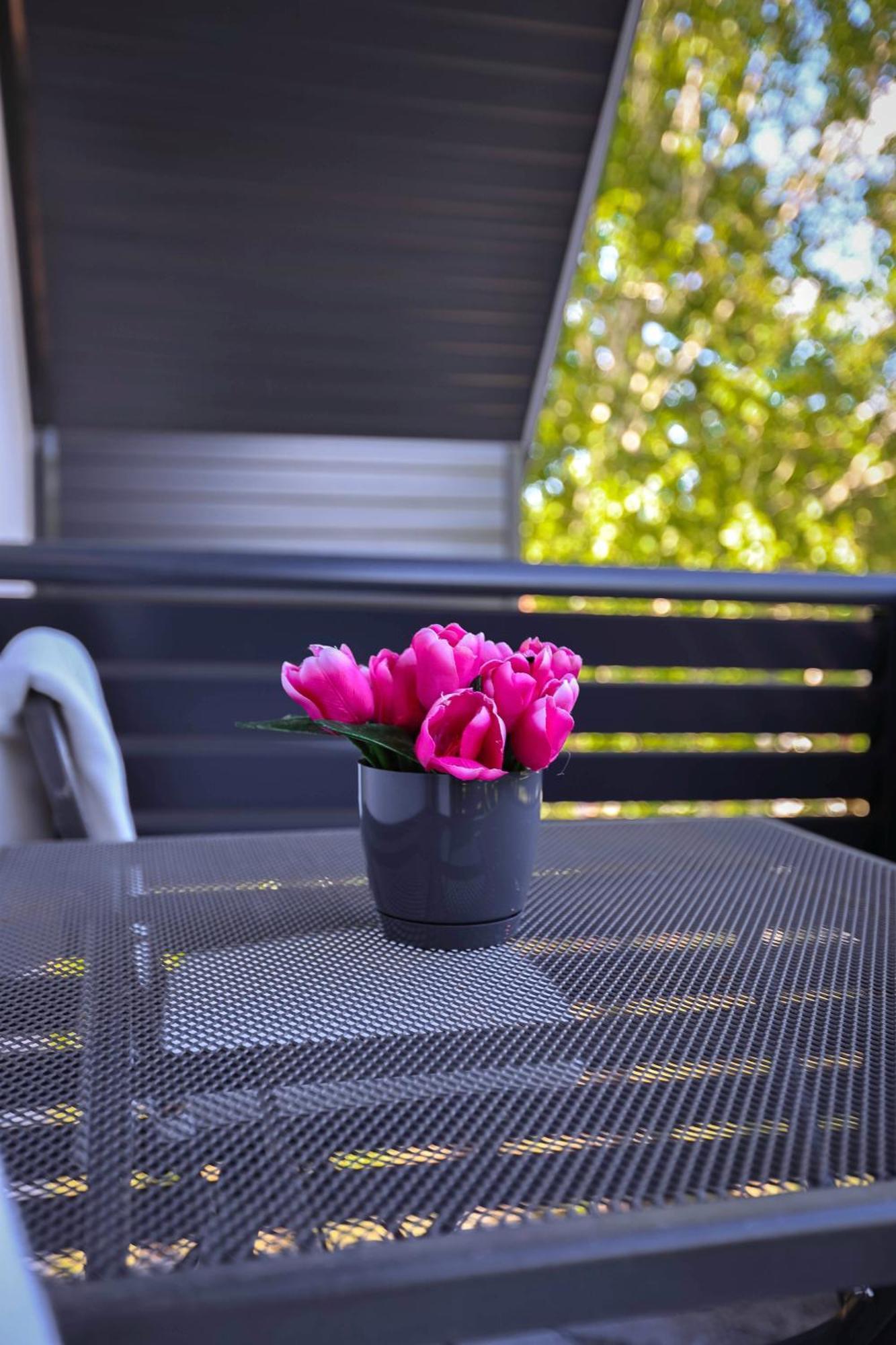 Apartman Babic Bihać Esterno foto
